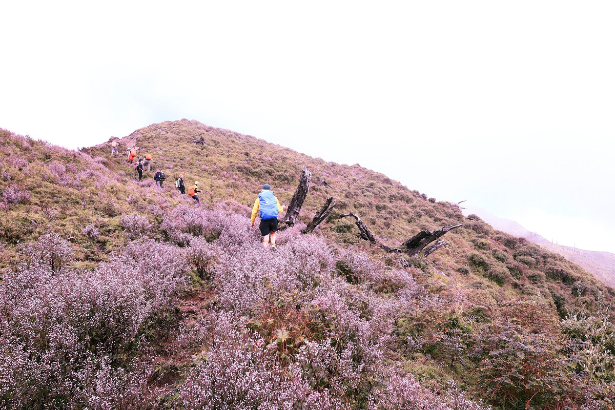 Du khách thường có hai cách di chuyển tới Tà Chì Nhù. Thứ nhất, du khách đi theo đường Hà Nội - Trạm Tấu (Yên Bái) rồi leo đỉnh núi bằng xe máy, di chuyển 30km. Lưu ý, đoạn đường khá nhỏ và nhiều cua dốc nên các bạn cần chú ý vững tay lái.