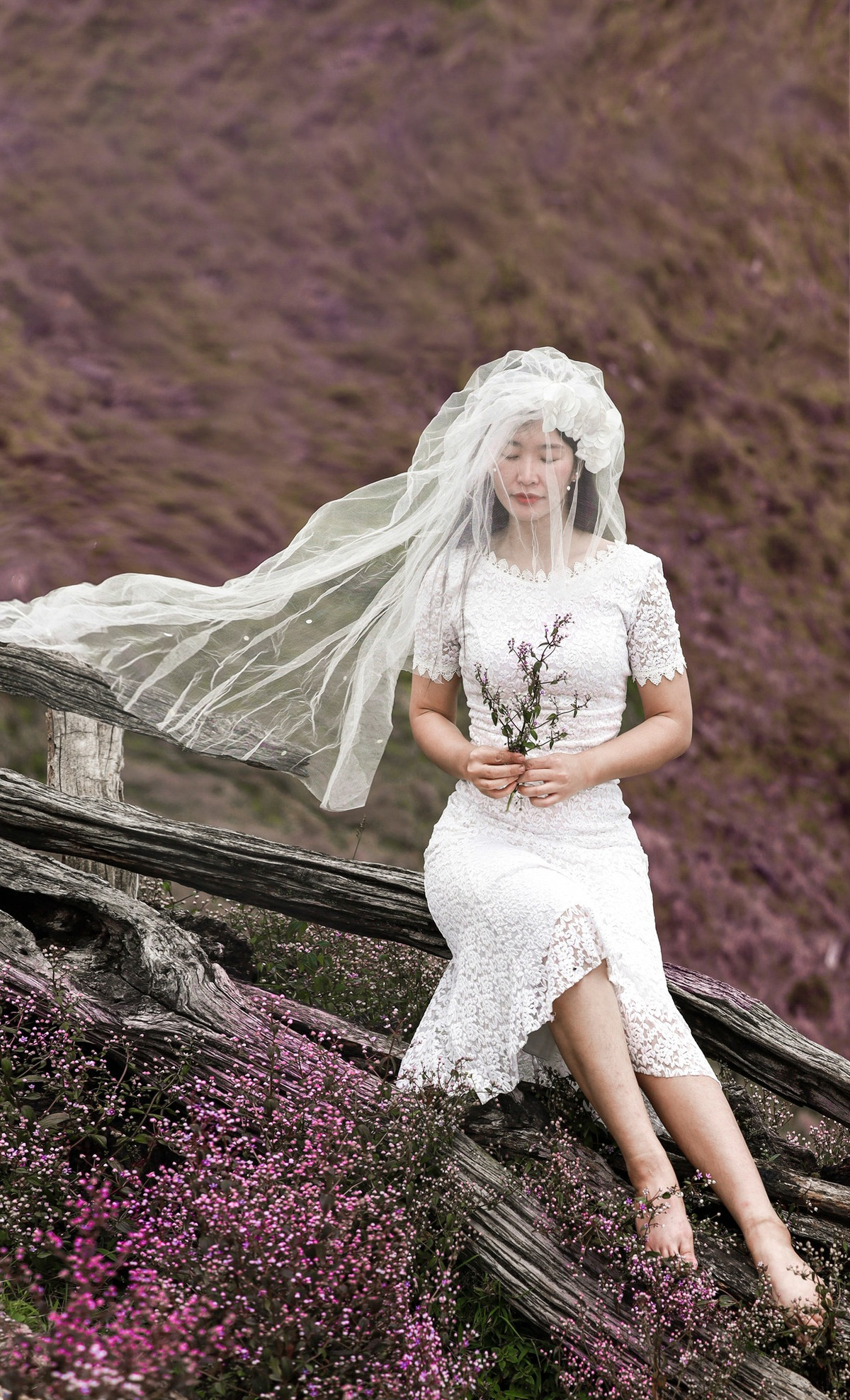 Tà Chì Nhù vốn là điểm du lịch nổi tiếng của Yên Bái, nơi đây chẳng những điểm săn mây đẹp nhất nhì Tây Bắc, mà còn gây xao xuyến mỗi dịp mùa hoa Chi Pâu nở rộ.