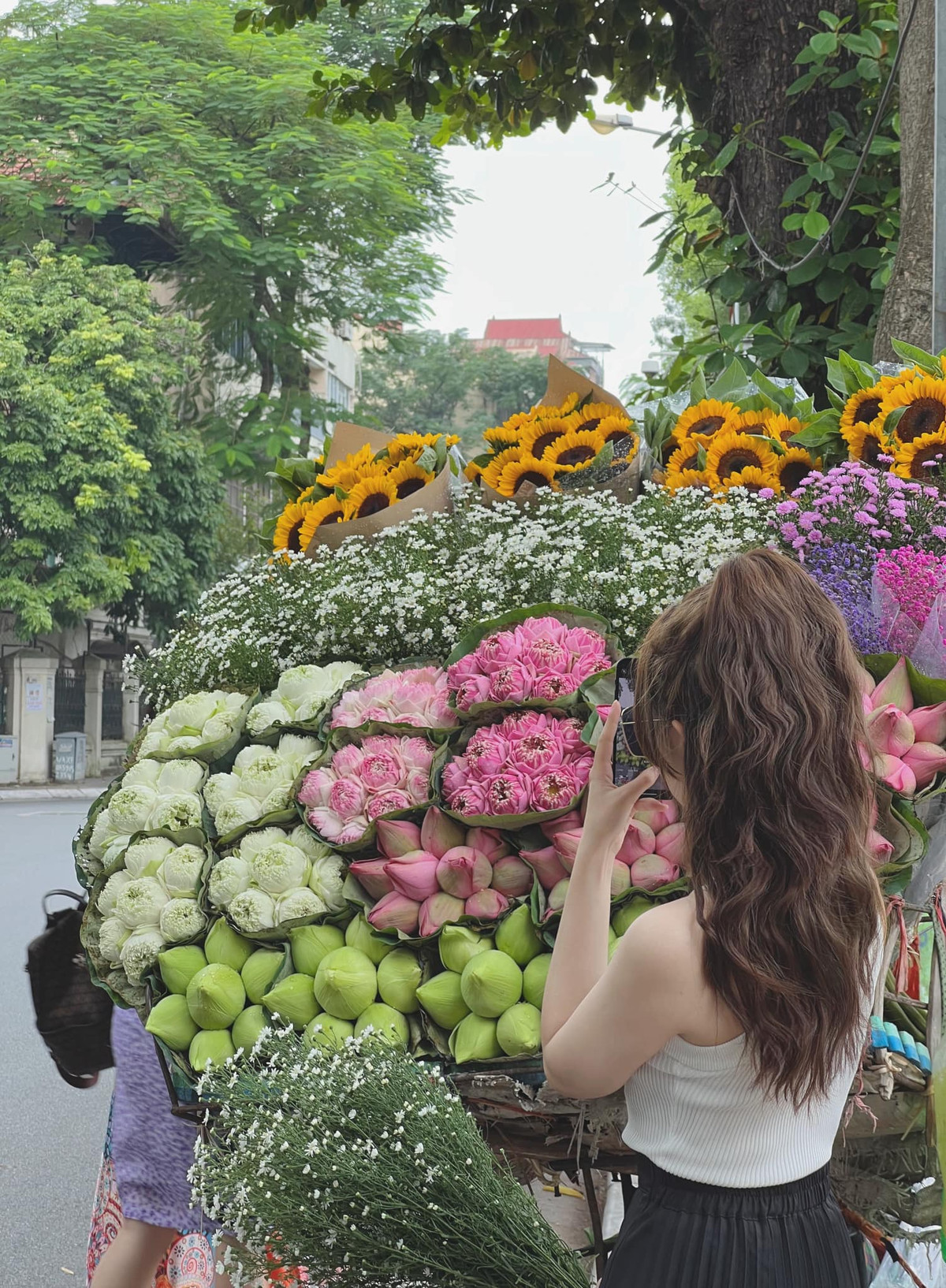 Kéo dài khoảng 1,5km, đường Phan Đình Phùng trở thành địa điểm “sống ảo”, vui chơi của nhiều người dân Thủ đô. Ảnh: Đào Tuyến