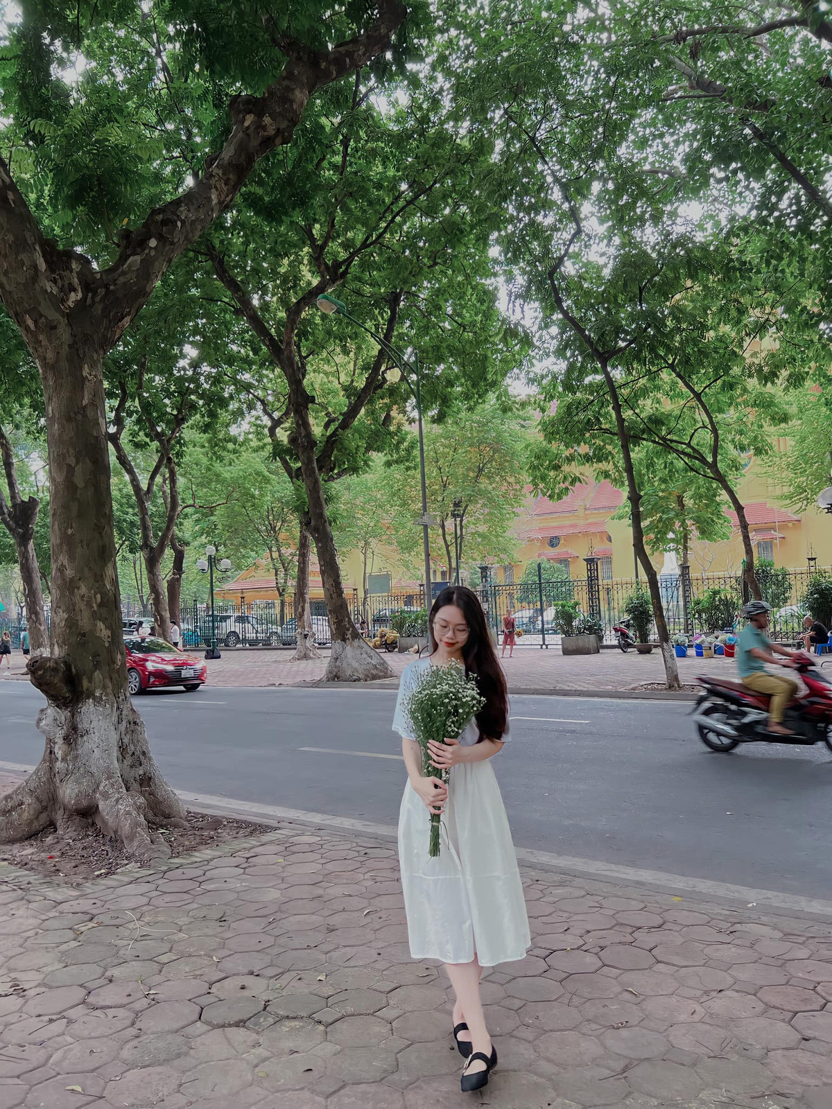 Đường Phan Đình Phùng (Ba Đình, Hà Nội) nổi tiếng với hai hàng cây sấu cổ thụ trên vỉa hè luôn rợp bóng mát vào mùa hè. Ảnh: Đào Tuyến