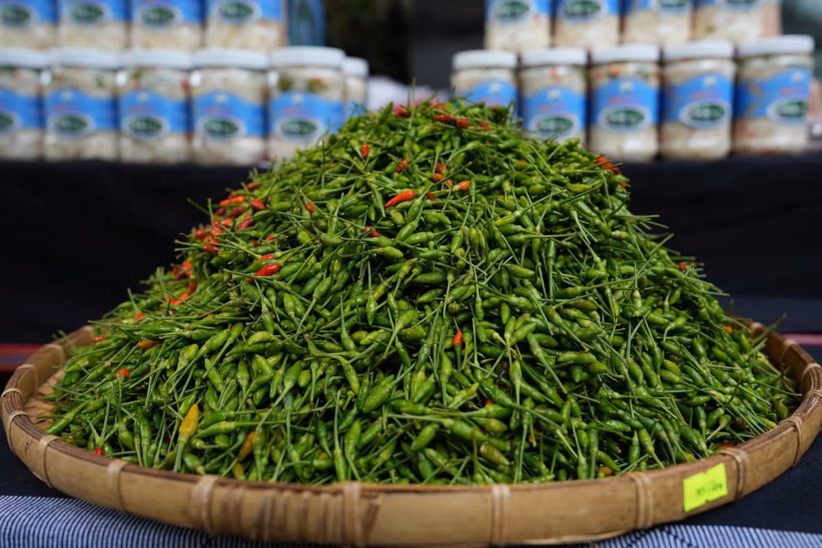 Le hoi Ot A Rieu Quang Nam lan thu I - moi la va doc dao-Hinh-2