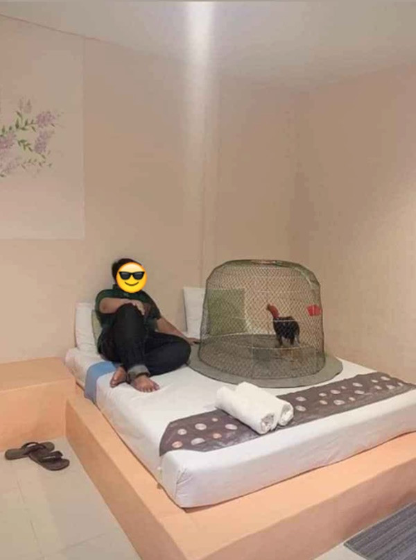 Sự việc chẳng dừng lại ở đó khi mà thanh niên này còn xót thương chú gà đến nỗi mặc kệ vợ để nhốt chú gà chọi lên giường, ngủ chung luôn cho tiện bề chăm sóc. Thế nào bảo sao mà các bà vợ lại dễ nổi điên đến thế.