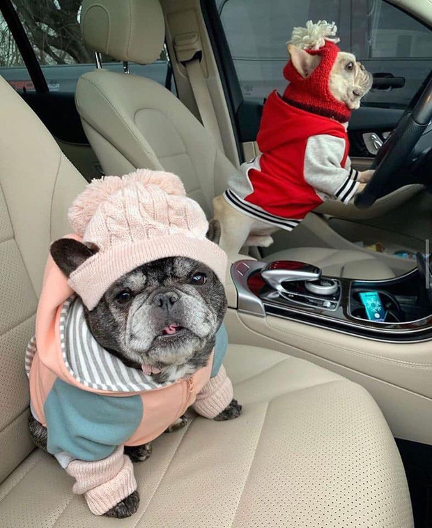 Hai boss lên đồ lồng lộn, tự lái xe sang về quê ăn tết khỏi cần con sen nào động tay động chân. Đúng là phong cách của hội chó nhà giàu.