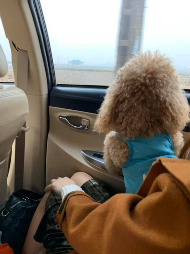 Thế nhưng đó chỉ là nỗi lo của hội nhà nghèo thôi chứ các boss nhà giàu, đại gia đã có xe ô tô riêng chở về quê đón Tết. Không nhưng rộng rãi, sạch sẽ mà các boss cũng được thảnh thơi ngắm cảnh phía bên ngoài như thế này đây.