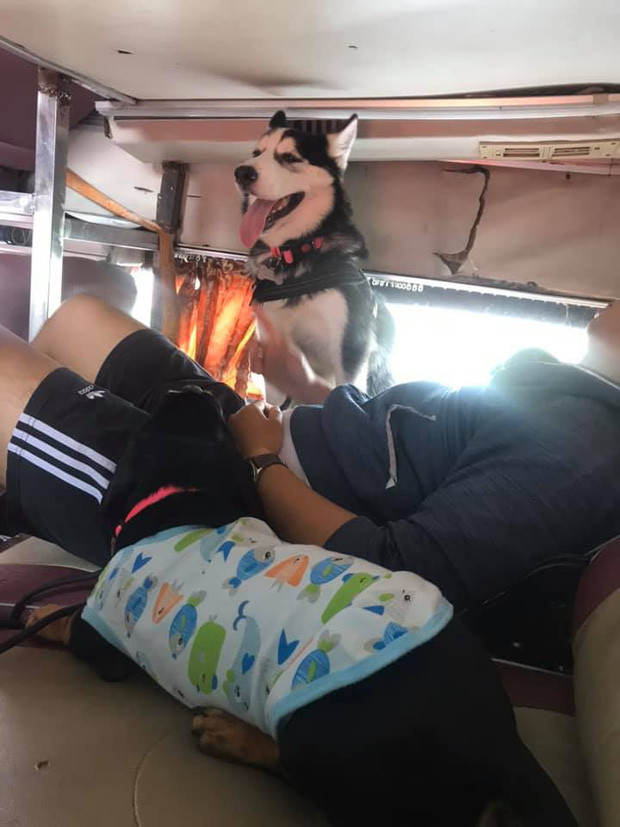 Hai đứa mỗi đứa một bên ngồi nằm tuỳ thích thế này thì có ngồi xe cả ngày để về ăn Tết cũng quá là điều đơn giản luôn. Đúng là sướng như boss.