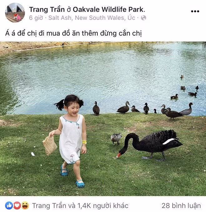 Sao viet dip Tet 2020: Vo chong Xuan Lan di My lam tiec bao hy, Trang Tran sang Uc gap ong xa-Hinh-2