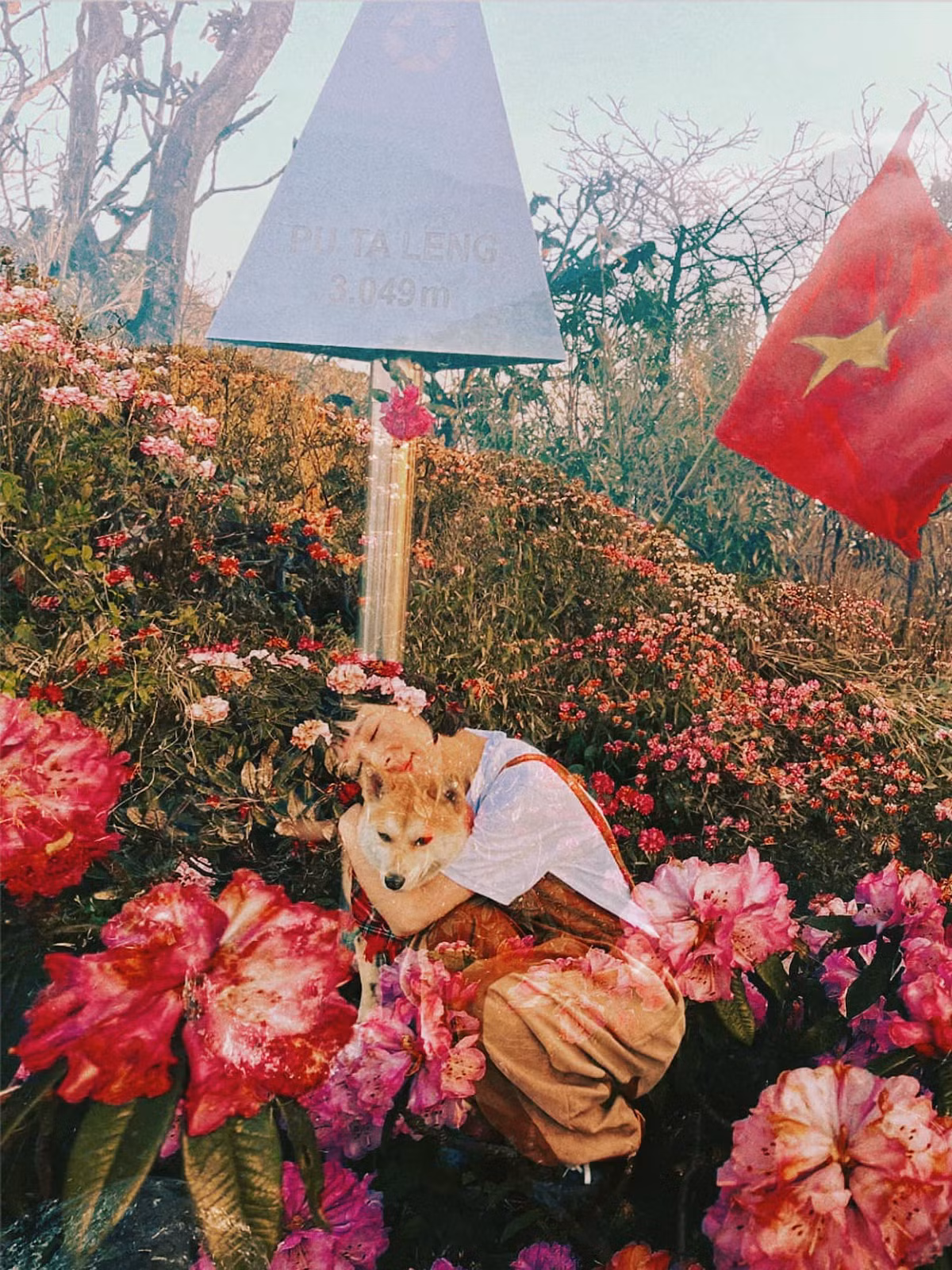 Chủ nhân chú chó và người bạn đồng hành đặc biệt của mình.