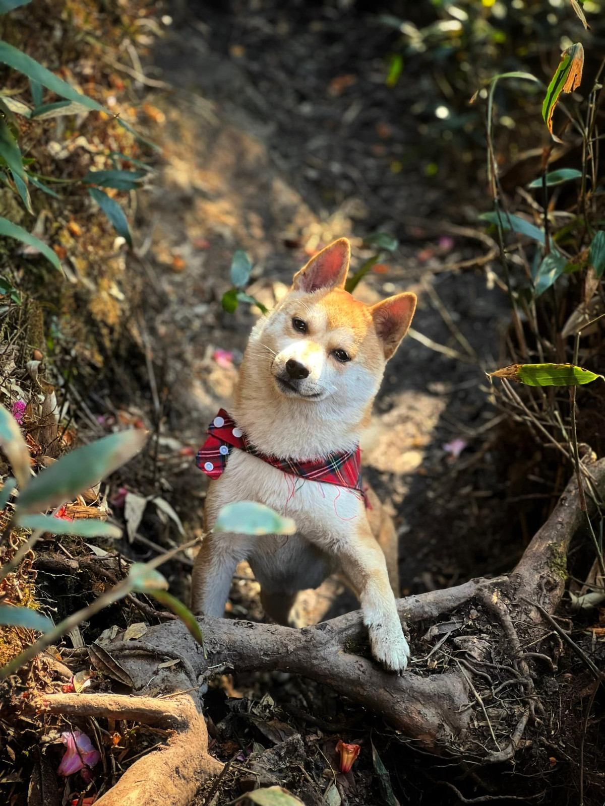 Gương mặt khiến ai nhìn vào cũng phải tan chảy.