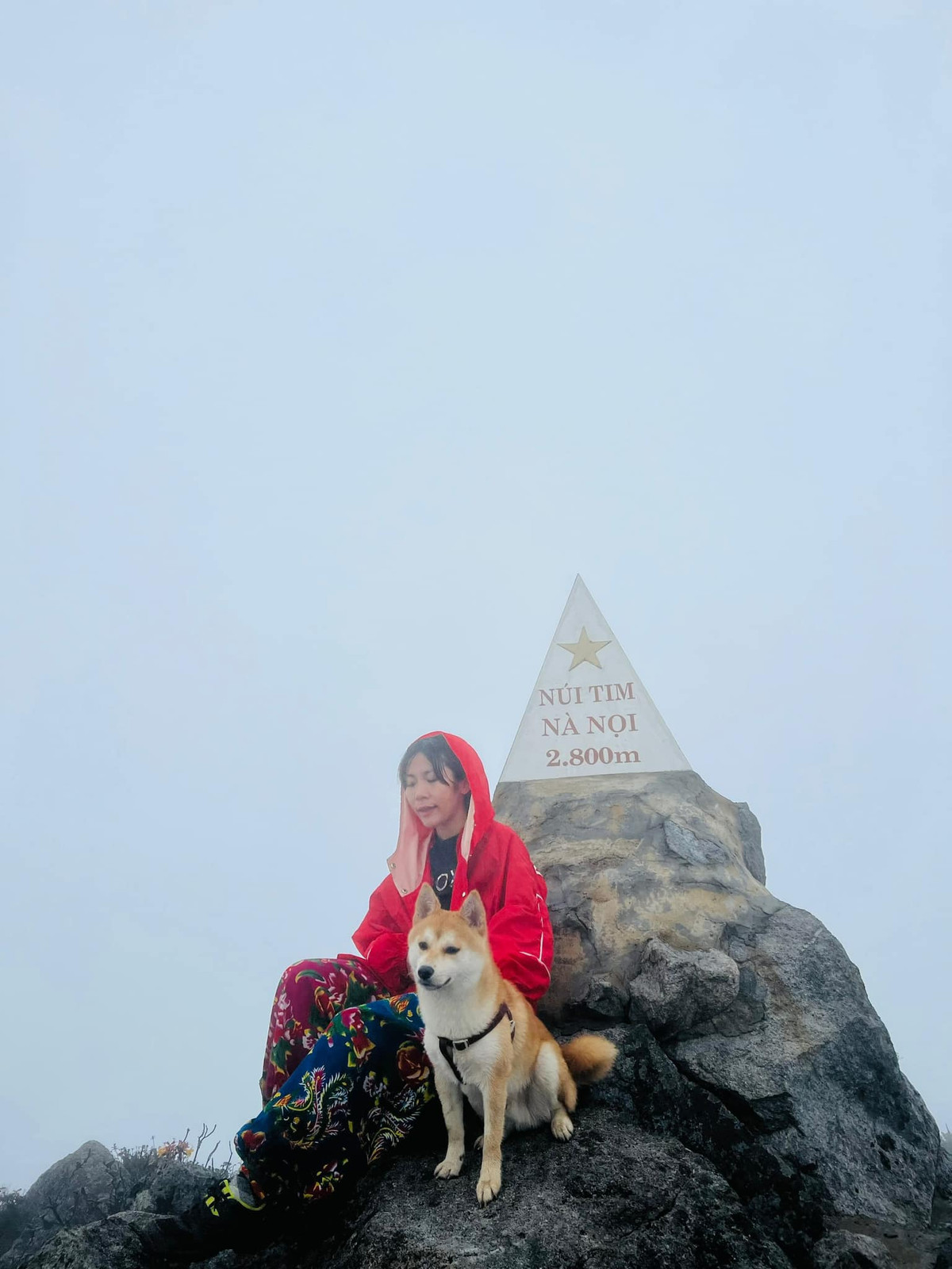 Một chiếc chó có ngoại hình rất "bảnh".