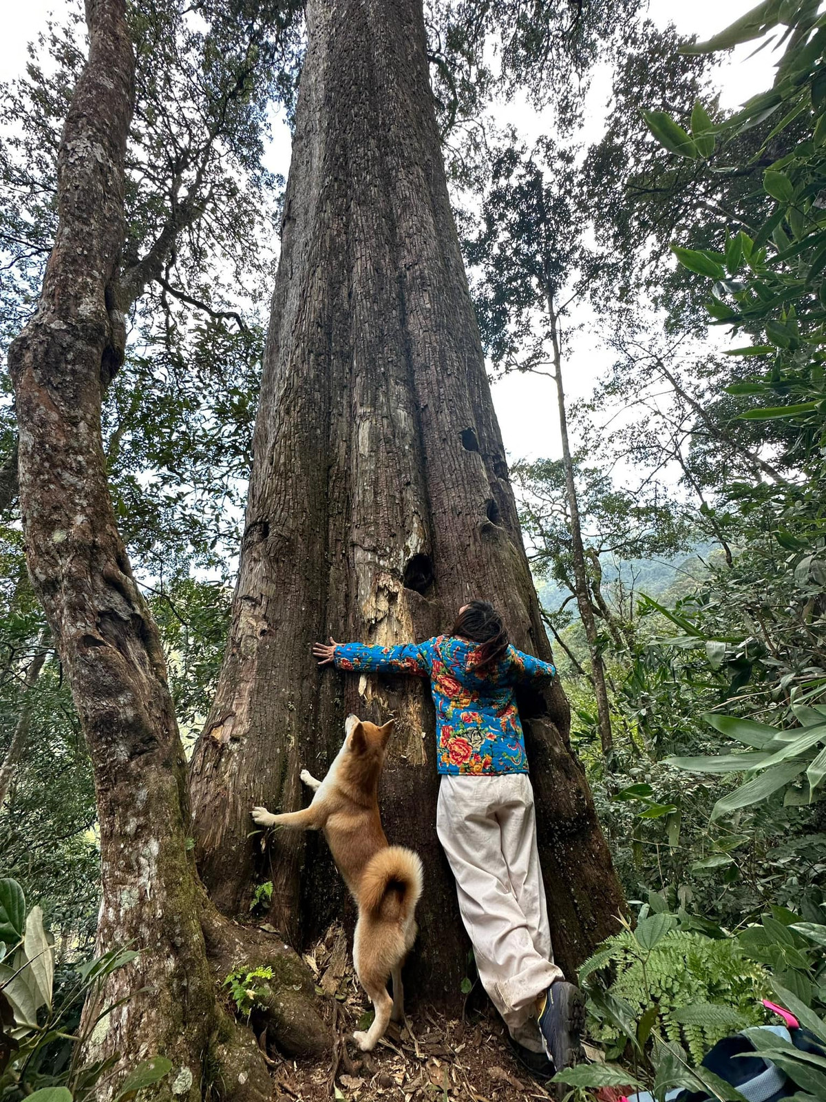 Check-in chung cùng với chủ.