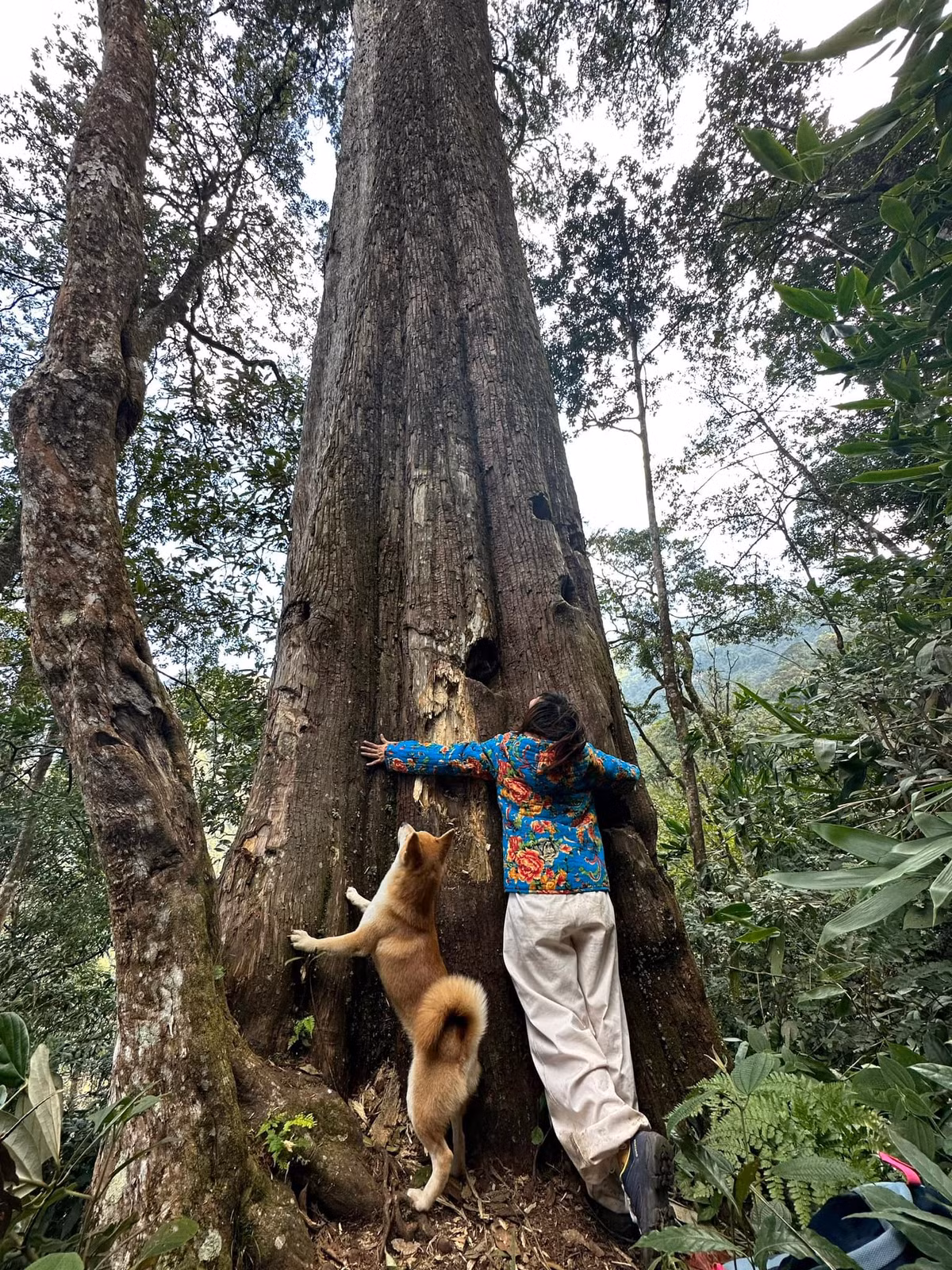 Check-in chung cùng với chủ.
