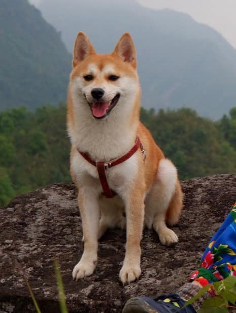 Gương mặt hạnh phúc khi chinh phục được 1 địa điểm mới.