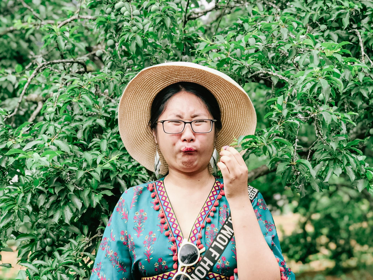 Dưới bài đăng về những trái mận đầu mùa, nhiều tài khoản cũng đã "thả" những chiếc ảnh hài hước về biểu cảm hài hước của 1 cô nàng khi ăn thử mận.