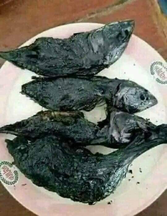 Gần mực thì đen, cá gần chín thì quên tắt bếp.