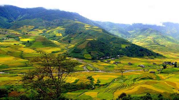 Đèo chạy quanh co qua những cánh rừng ra hoang sơ và những ruộng bậc thang đầy trữ tình của đồng bào dân tộc.