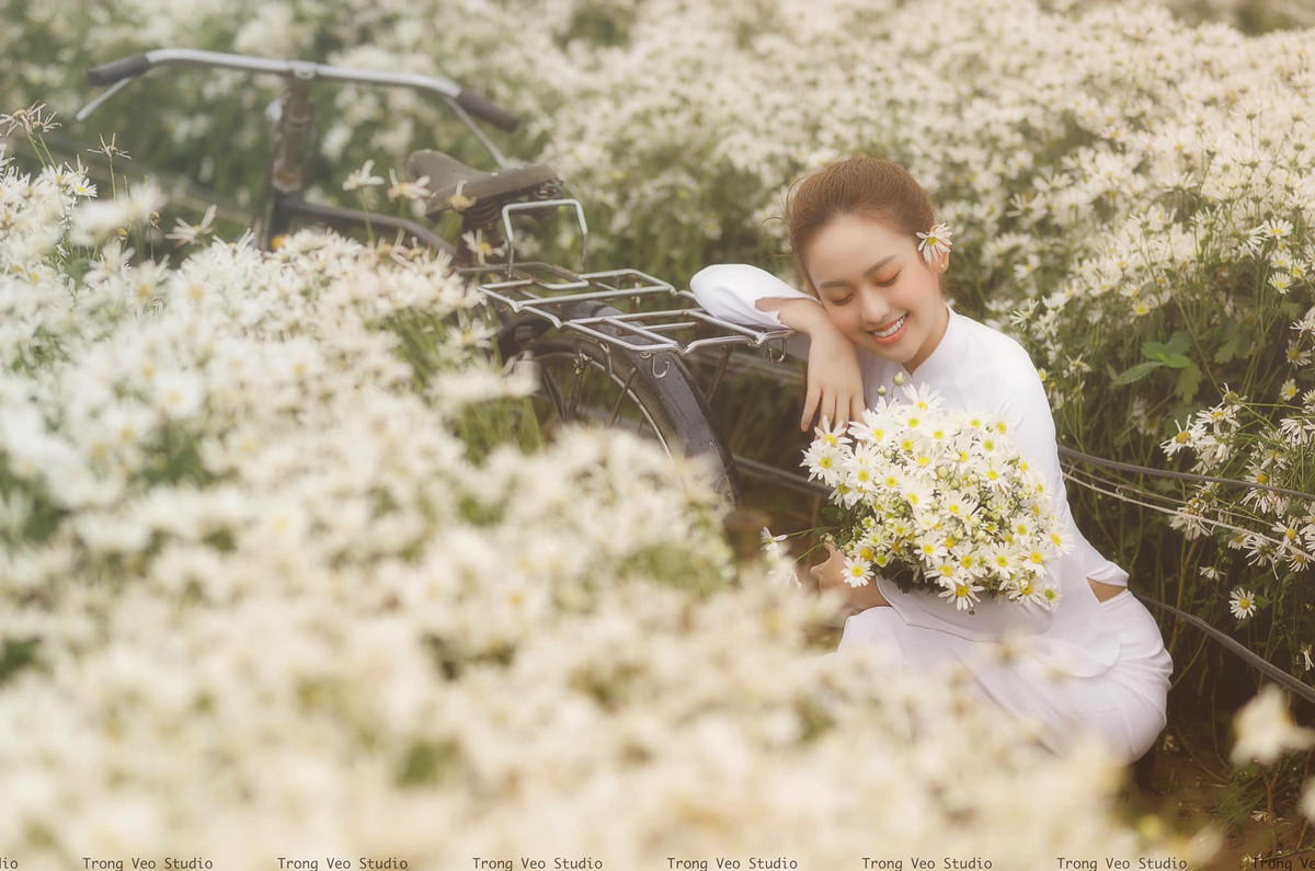 Trong ảnh, hot girl Thuý Vi dịu dàng trong trang phục áo dài trắng bên vườn cúc hoạ mi đang đến kì nở rộ. Trông cô nàng khác xa với hình ảnh sexy đang theo đuổi.