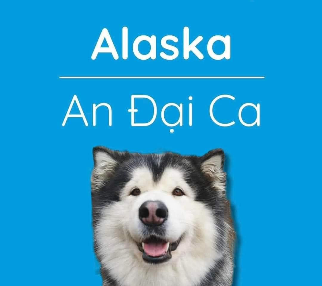 Cái tên đúng với tính cách.