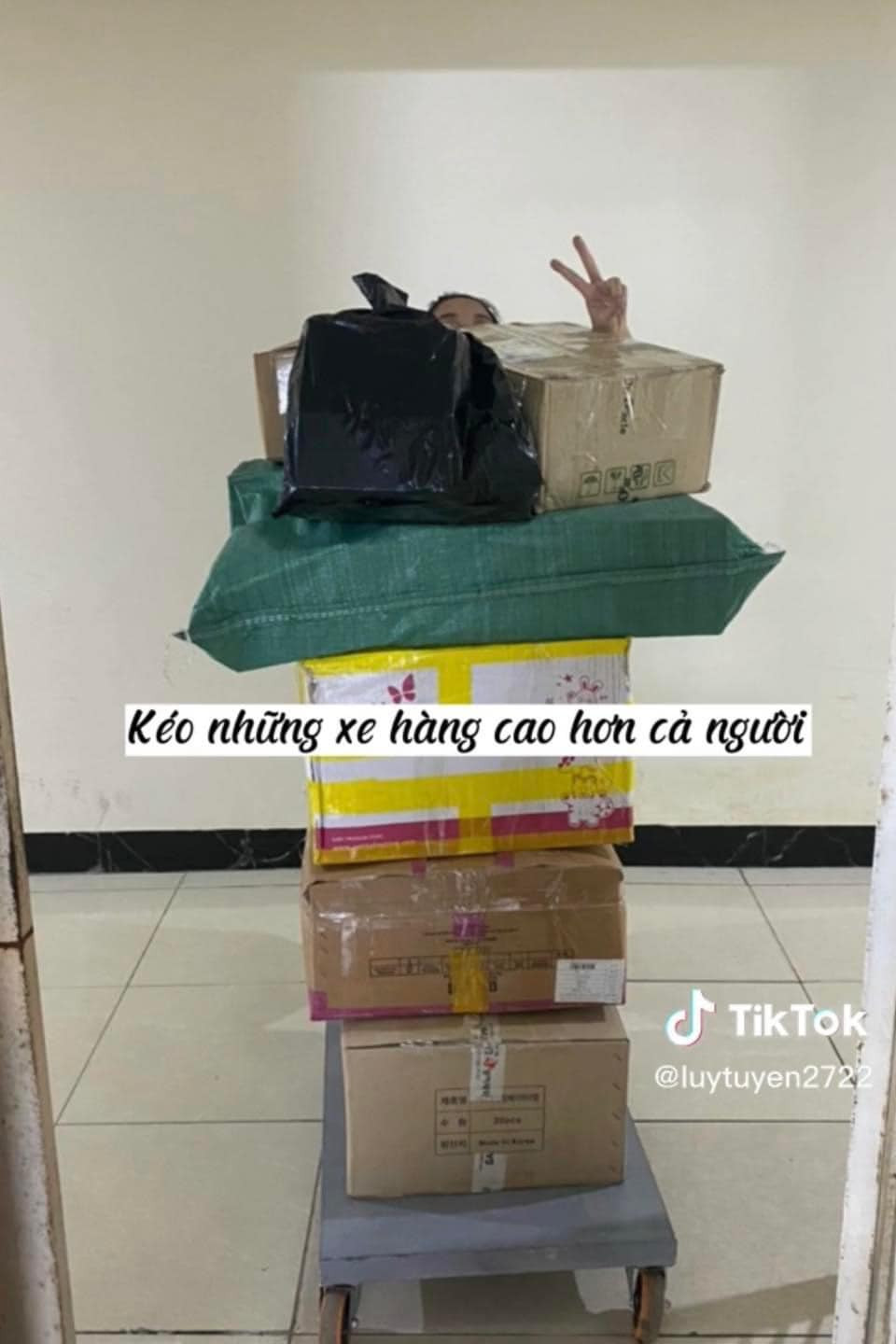 Kéo những xe hàng cao hơn cả người.