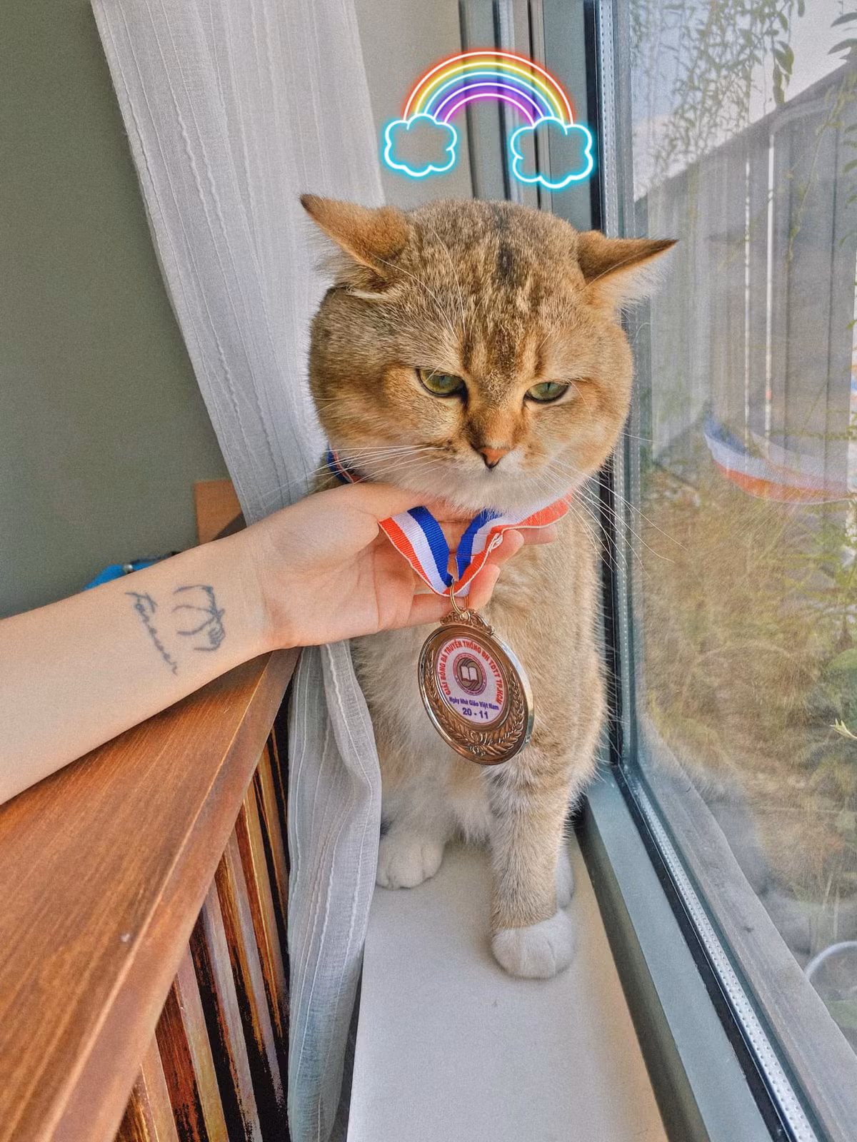 Mèo nhà Linh Ngọc Đàm được nhận được rất nhiều lời khen tuy nhiên vẫn khiến nữ streamer khốn khổ vì quá nghịch ngợm.