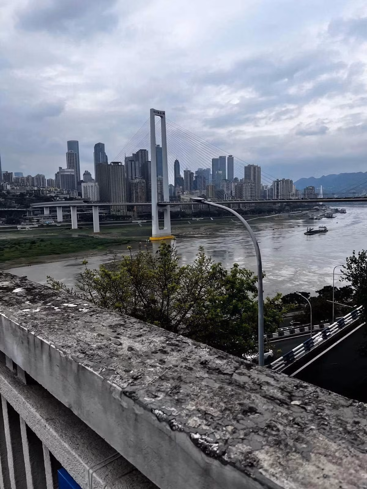 Tuy nhiên, từ tháng 3 năm nay, Đàm Trúc bắt đầu lạnh nhạt với Mèo Béo. Cô dùng nhiều lời lẽ gây tổn thương chàng trai và yêu cầu chia tay. Mèo Béo muốn tìm Đàm Trúc hỏi rõ mọi chuyện nhưng đều bị cô từ chối hết lần này đến lần khác. Quá thất vọng, Mèo Béo quyết định chuyển cho người yêu 66000 tệ lần cuối, đặt 780 bông hoa ở cửa hàng Đàm Trúc tượng trưng cho số ngày yêu nhau rồi đứng trên cầu Đại Kiều - sông Trường Giang gieo mình xuống dưới.