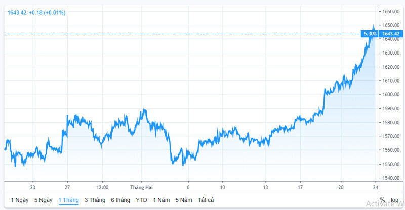 Vang vuot 46 trieu/luong, mo hang chua tung co, don 1 nam nong bong-Hinh-2