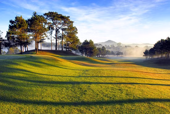 Đà Lạt đã luôn được nhắc đến trong từng câu hát, bài thơ là thành phố mộng mơ, thành phố của những đồi thông trải dài, của thung lũng Tình yêu, thung lũng Vàng.