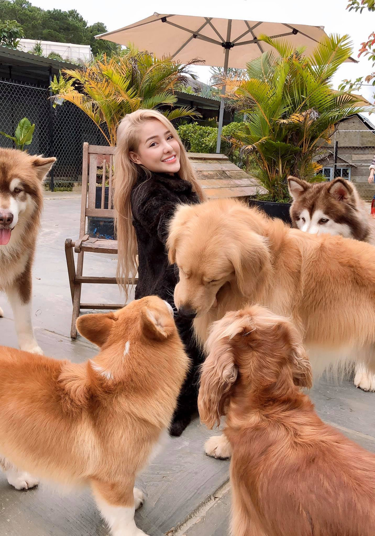 Cứ vài ngày hay vài tuần, Ngân 98 lại tung một bộ ảnh khoe thân lên mạng xã hội để làm nóng tên tuổi. Không tài cán gì, khuôn mặt thì cứng đơ như tượng sáp do phẫu thuật thẩm mĩ quá nhiều thì có lẽ đây là cách duy nhất giúp hot girl tồn tại, kiếm tiền.