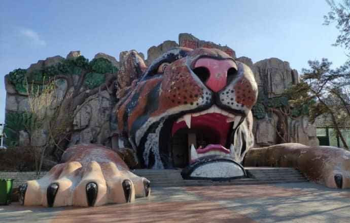 Người đâu? Hay chụp con hổ?