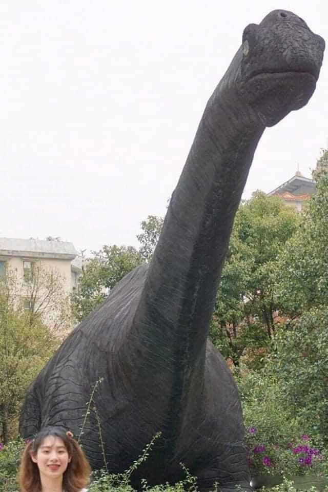 Khi bạn đang mải nhìn con khủng long nhưng người yêu nhờ chụp ảnh kỷ niệm.