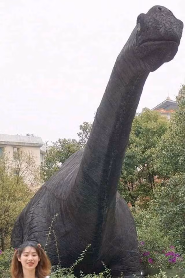 Khi bạn đang mải nhìn con khủng long nhưng người yêu nhờ chụp ảnh kỷ niệm.