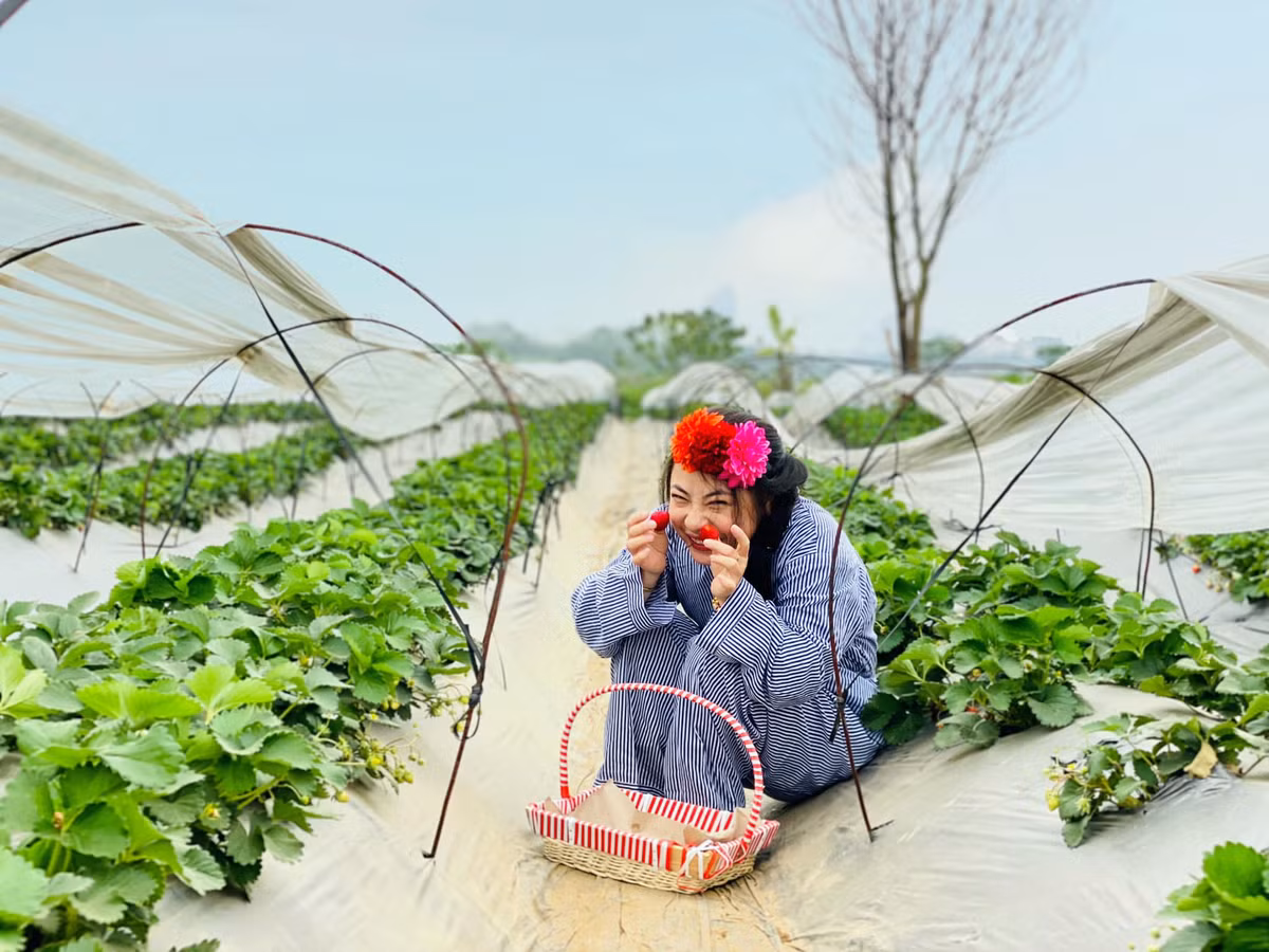 Khánh Huyền cho biết cô được bạn bè nhận xét là cực "nhây", chính thầy giáo cấp 3 cũng cho rằng đã gặp cô nàng thì không cười không được, đến trái đất là để mua vui cho mọi người nên đây cũng không phải bộ ảnh có tính giải trí cao của cô nàng.