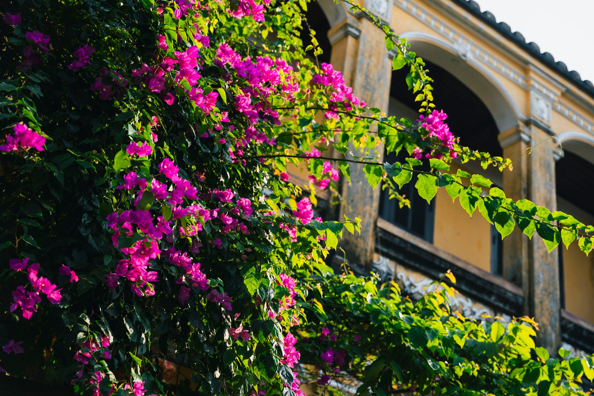 Mới đây, tạp chí Time Out cũng chọn Hội An là điểm du lịch lý tưởng trong tháng 7. Vào thời điểm đó, du khách đến Việt Nam thường đến những bờ biển đẹp của miền Trung vì nó khô ráo và Hội An là điểm đến không thể bỏ qua.