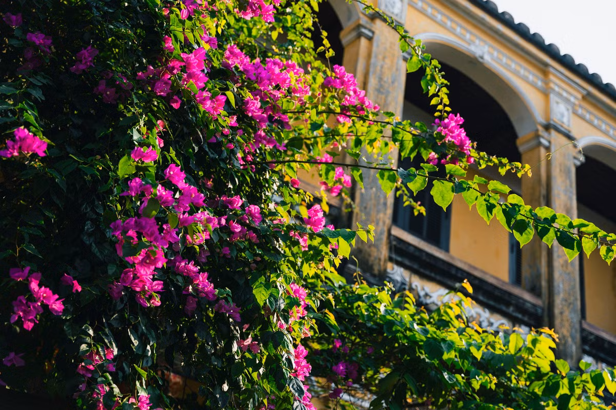 Mới đây, tạp chí Time Out cũng chọn Hội An là điểm du lịch lý tưởng trong tháng 7. Vào thời điểm đó, du khách đến Việt Nam thường đến những bờ biển đẹp của miền Trung vì nó khô ráo và Hội An là điểm đến không thể bỏ qua.