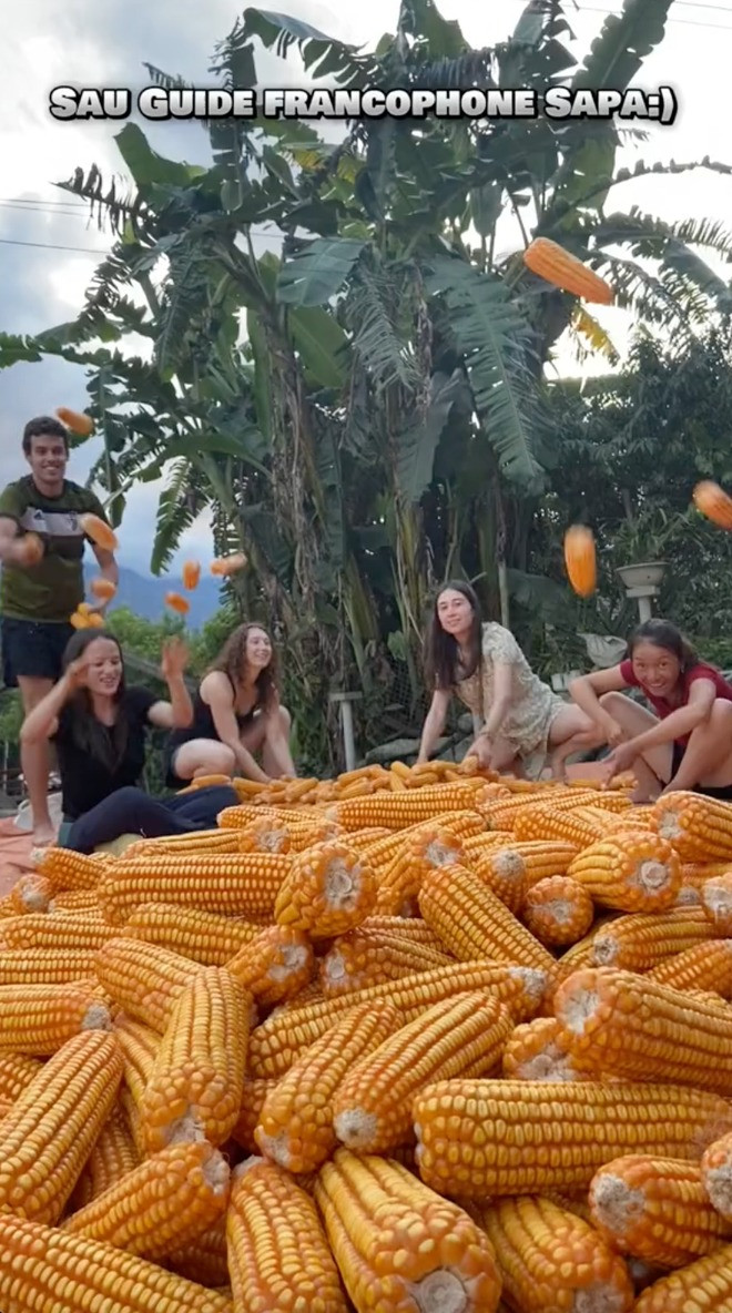 Nhiều khách Tây đã chọn "du lịch trải nghiệm", hóa thân thành người nông dân để được cấy lúa, lội ruộng, phơi thóc, tự tay làm những món ăn dân dã Việt...