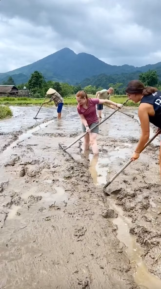 Hay hào hứng ra ruộng lúa để lội bùn, quốc đất, cấy mạ...