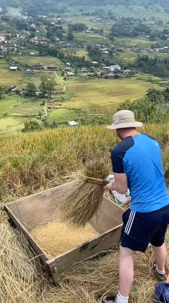 Hình ảnh những anh chàng, cô nàng Tây đang "lao động vất vả" trong chuyến du lịch mà chính họ bỏ tiền ra khiến nhiều cư dân mạng "dở khóc dở cười". Nhiều người đùa rằng đây là những chuyến du lịch "vừa tốn tiền, vừa tốn sức".