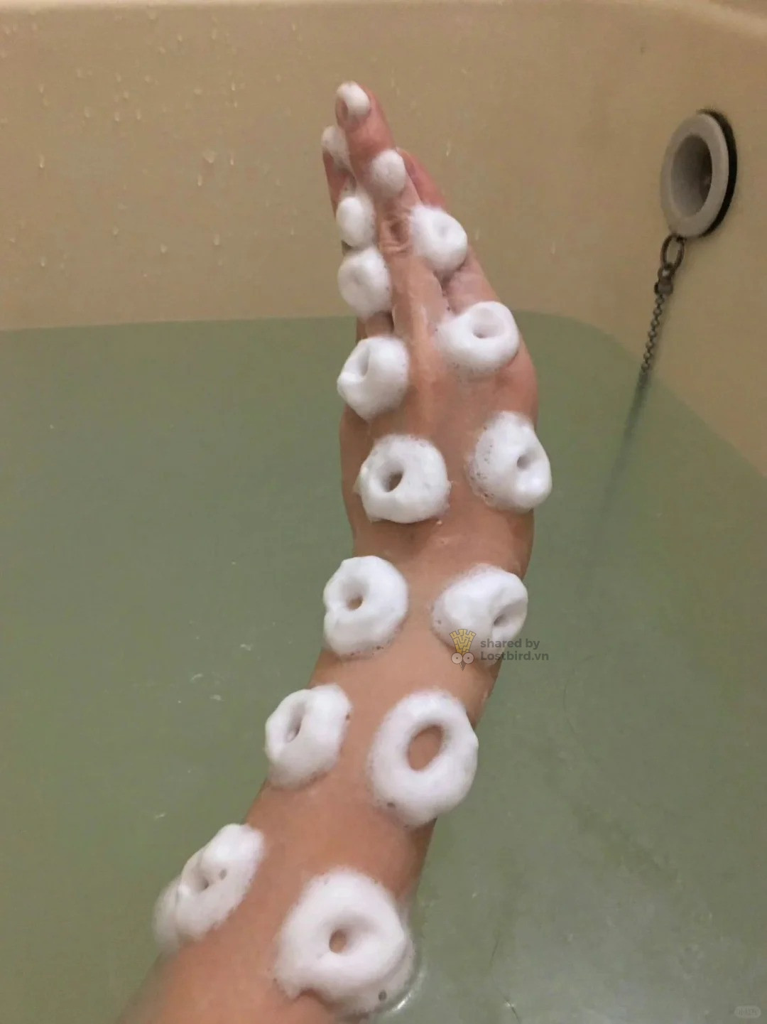 Thủy quái với chiếc xúc tua khổng lồ...