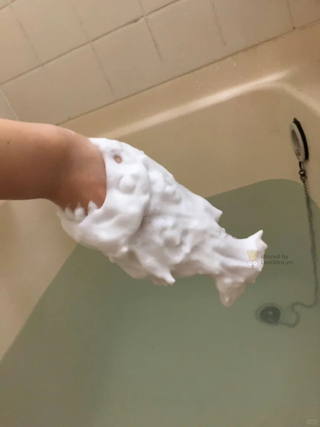 Chú cá mập này nhìn lâu thì cũng đáng yêu.