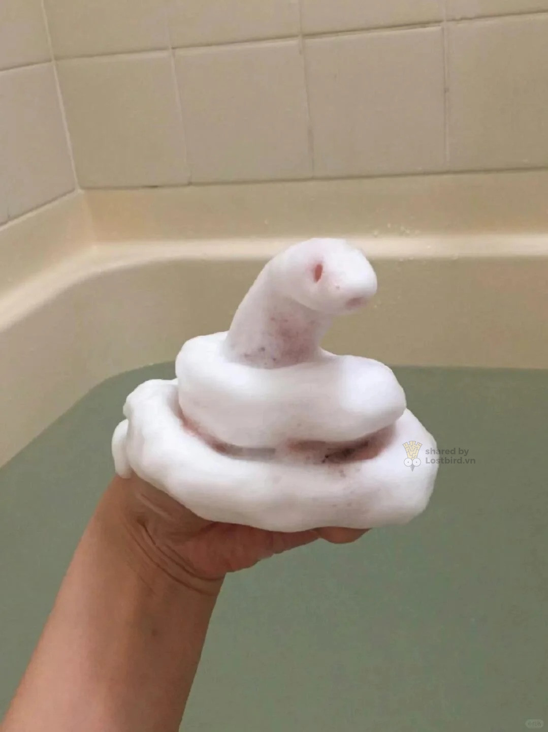 Mãng xà trong truyền thuyết.