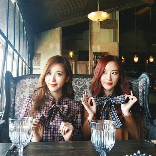 Cả hai cùng mở trang web bán hàng trực tuyến từ năm 2010, tự làm người mẫu cho những sản phẩm thời trang, đồng thời viết blog chia sẻ tips làm đẹp, gu ăn mặc.