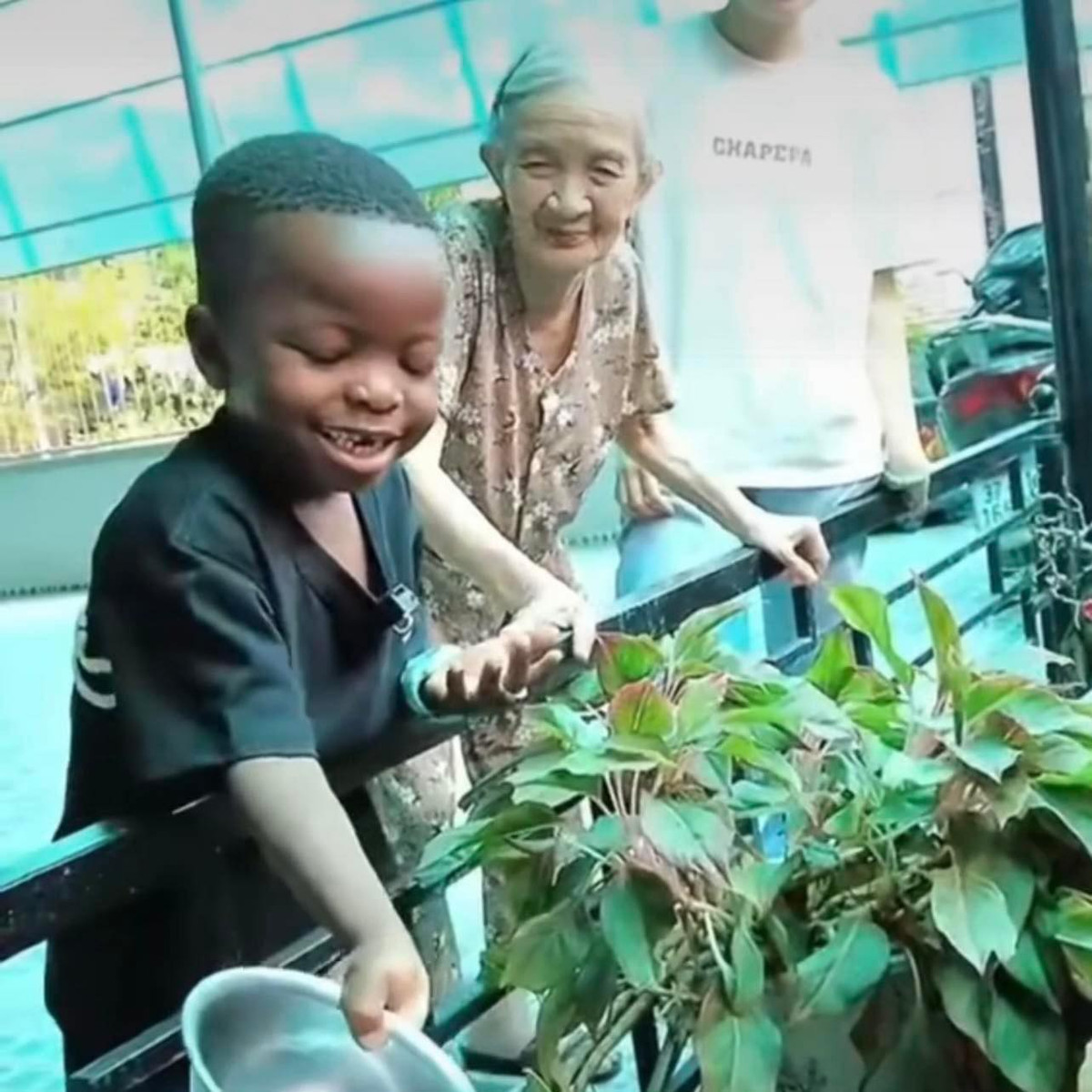 Lôi con cùng ba tưới nước, chăm cây.