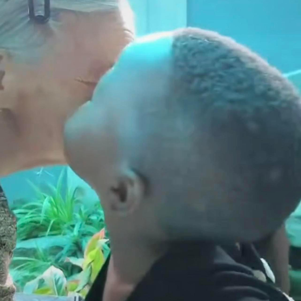 Quang Linh đã đưa Lôi con về quê nhà mình, gặp bà và mẹ của anh. Ngay từ những giây phút đầu tiên gặp gỡ, cậu bé châu Phi đã sà vào lòng bà, tặng bà cố một nụ nôn ấm áp.