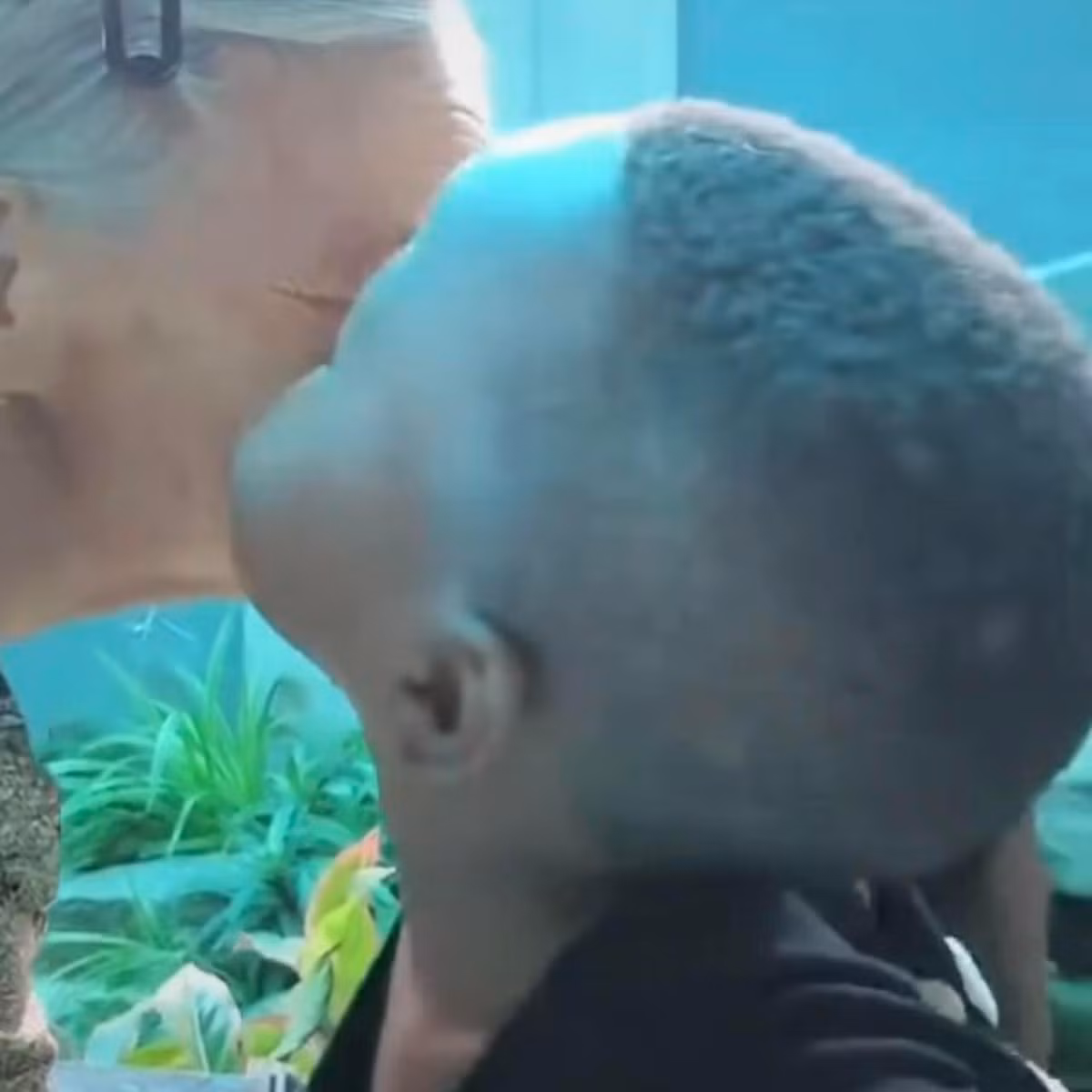 Quang Linh đã đưa Lôi con về quê nhà mình, gặp bà và mẹ của anh. Ngay từ những giây phút đầu tiên gặp gỡ, cậu bé châu Phi đã sà vào lòng bà, tặng bà cố một nụ nôn ấm áp.