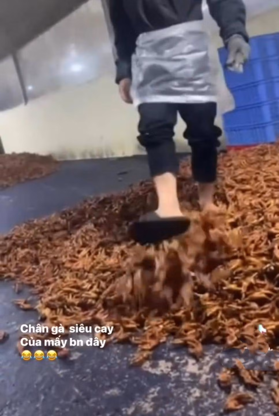 Người đàn ông trong clip vừa dẫm, vừa đá tung những chiếc chân gà lên.