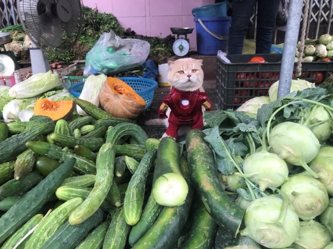 Cô nông dân bán rau.