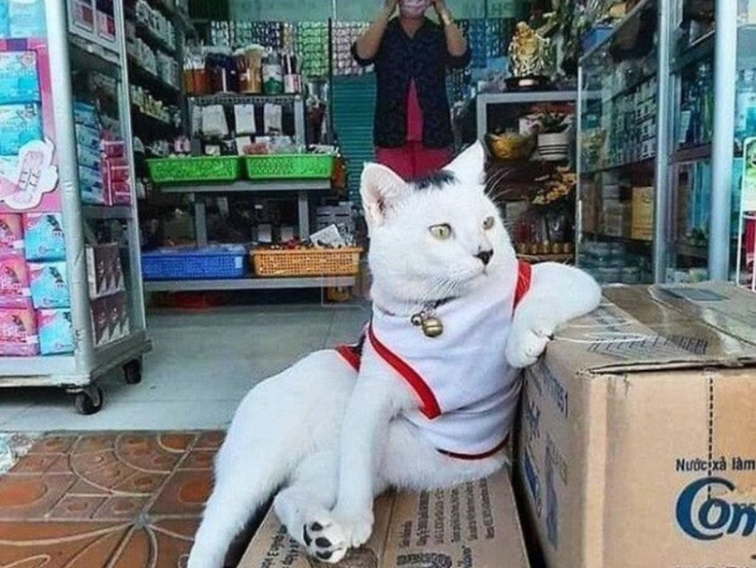 Chủ tiệm mặt mũi có vẻ hơi thái độ đấy nhé.