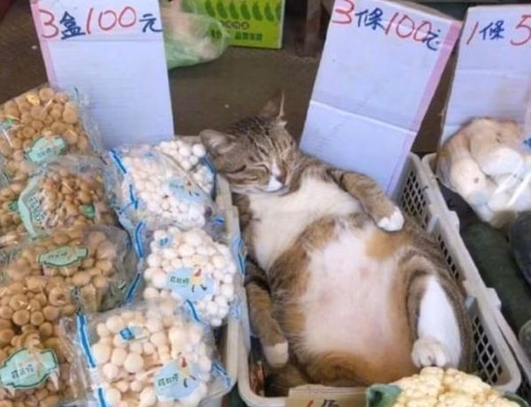 Khi bạn bán hàng nhưng lại đột nhiên lên cơn buồn ngủ.