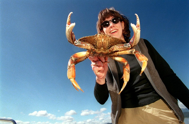 Tên của chúng được lấy từ tên cảng Dungility - nơi có loài cua Dungeness đưa về giá trị kinh tế cao.