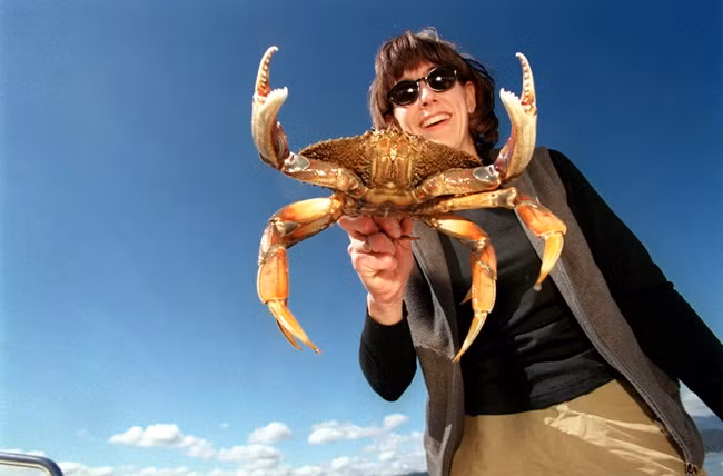 Tên của chúng được lấy từ tên cảng Dungility - nơi có loài cua Dungeness đưa về giá trị kinh tế cao.