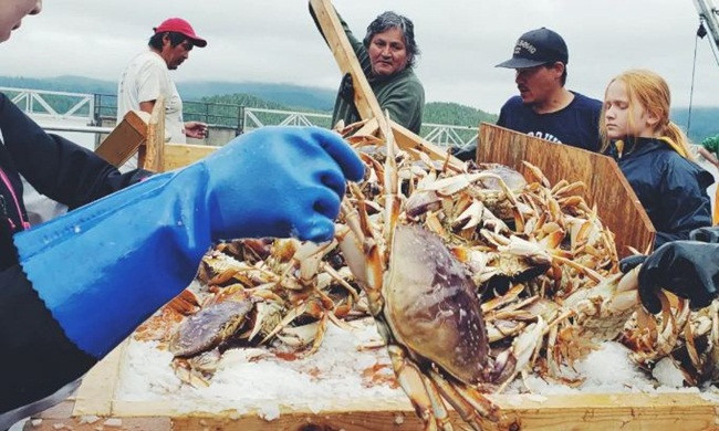 Chúng có được vị ngọt thịt nhờ thường xuyên săn các loài giáp xác khác, tôm, mực nhỏ để làm thức ăn dưới biển.